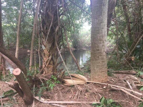 Palm Beach Farms, 153 Possum Pass, West Palm Beach, Florida 33413, image 1
