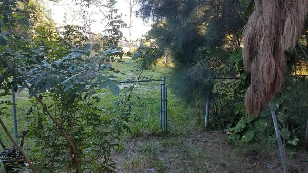 Lake Worth No HOA, 916 Weymouth Rd, Lake Worth, Florida 33461, image 1