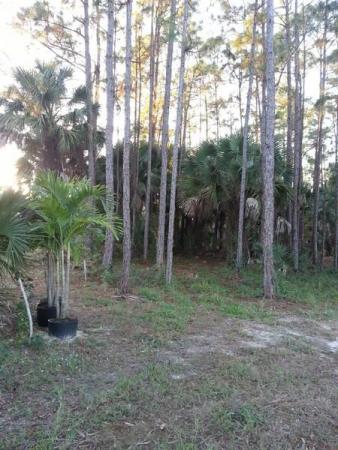 The Acreage, 14195 72nd Ct N, Loxahatchee, Florida 33470, image 1