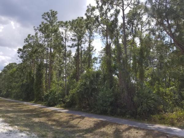 The Acreage, 7165 Banyan Blvd N, Loxahatchee, Florida 33470, image 2