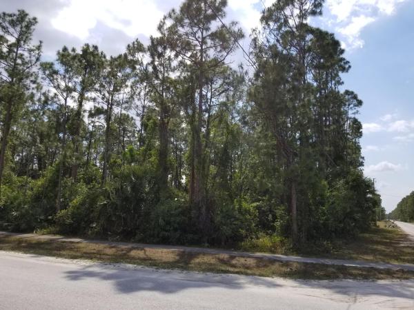 The Acreage, 7165 Banyan Blvd N, Loxahatchee, Florida 33470, image 1