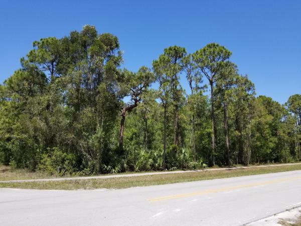 The Acreage, Xxxx 30th Lane N, Loxahatchee, Florida 33470, image 2
