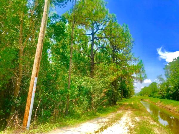 The Acreage, 14319 74th St N, Loxahatchee, Florida 33470, image 1