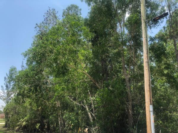 The Acreage, 14319 74th St N, Loxahatchee, Florida 33470, image 2