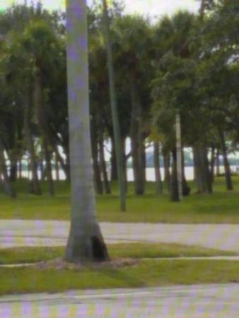 Indian River Place, 701 N Indian River Dr #101, Fort Pierce, Florida 34950, image 3