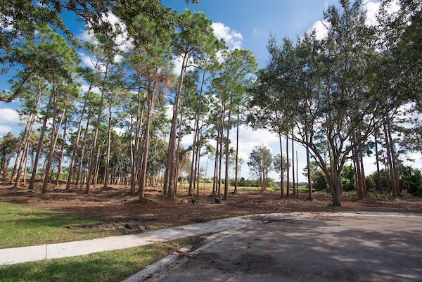 The Preserve, 6634 Audubon Trce W, West Palm Beach, Florida 33412, image 1