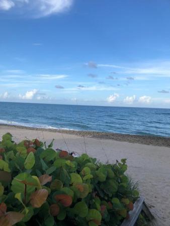 Cote D'Azur, 4200 N Ocean Dr #2-1402, Riviera Beach, Florida 33404, image 1