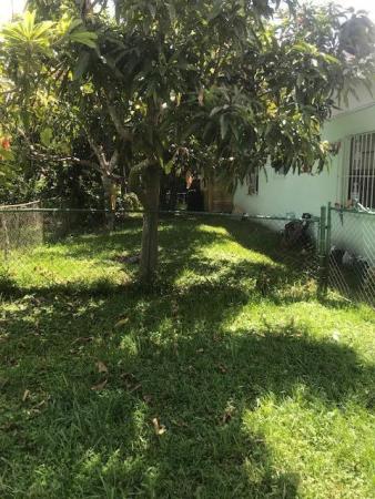 Royal Palm Estates, 156 Pine Ave, West Palm Beach, Florida 33413, image 3