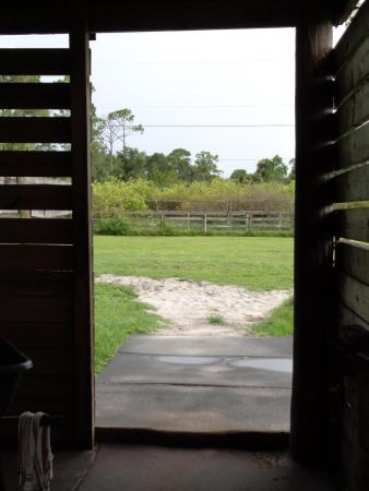Loxahatchee Groves Residential, 3571 E Rd, Loxahatchee Groves, Florida 33470, image 3