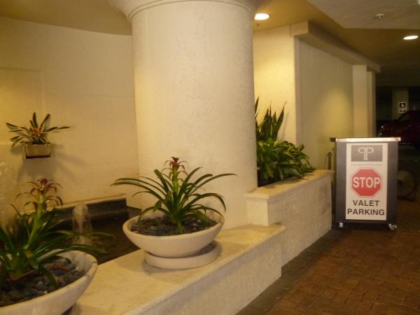 Palmetto Place, 99 SE Mizner Blvd #812, Boca Raton, Florida 33432, image 1
