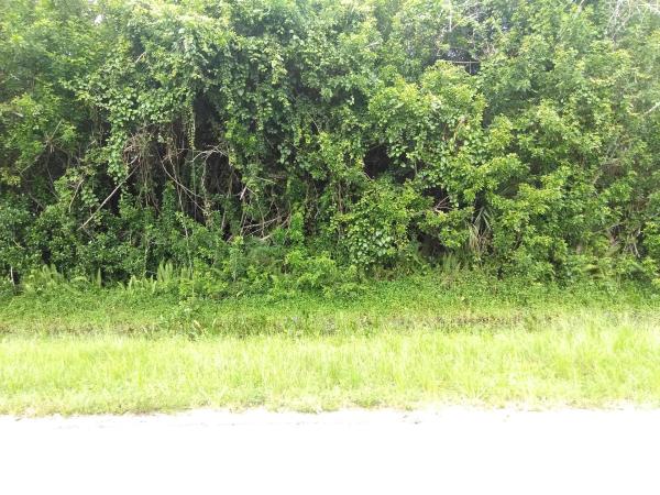 Jupiter Farms, 0 97th Drive N, Jupiter, FL 33478, Jupiter, Florida 33478, image 1
