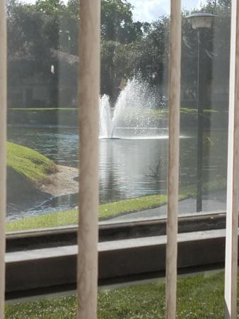 Delray Oaks, 2014 SW 29th Ct, Delray Beach, Florida 33445, image 2