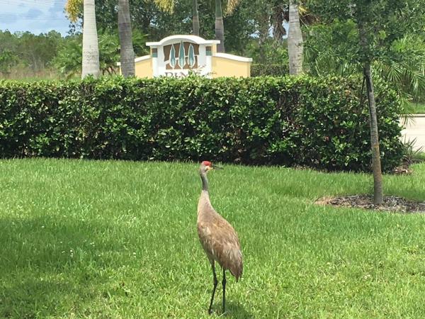 Pine Trace, 5695 NW Pine Trail Cir, Port St. Lucie, Florida 34983, image 1