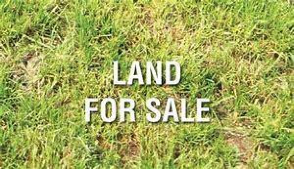 The Acreage, 7029 Avocado Blvd, West Palm Beach, Florida 33412, image 1