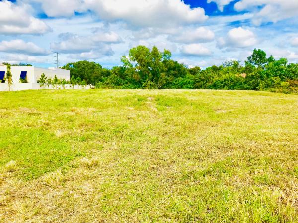 Palm Beach Ranches, 6463 Ranches Rd, Lake Worth, Florida 33463, image 1