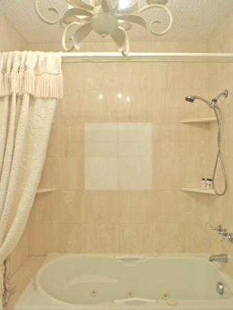 Canary Palm Club, 6740 Canary Palm Cir, Boca Raton, Florida 33433, image 1