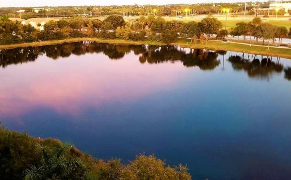 Vizcaya Lakes, 1660 Renaissance Commons Blvd #2615, Boynton Beach, Florida 33426, image 1