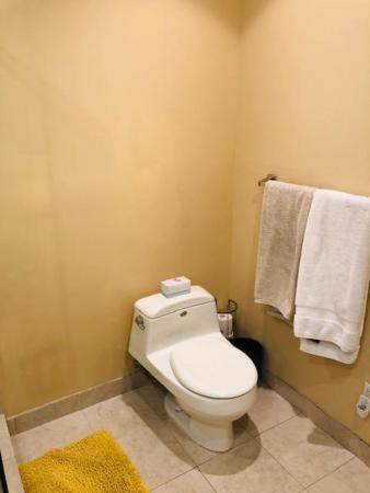 Pheasant Run, 5501 Pinnacle Ln, West Palm Beach, Florida 33415, image 1