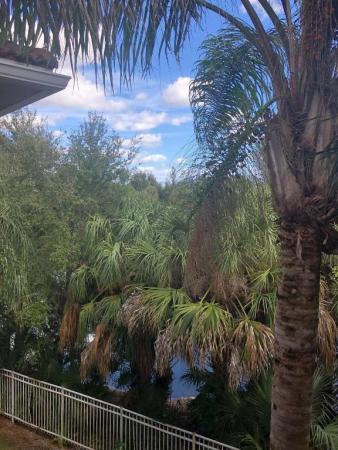 The Villas At Emerald Dunes, 6386 Emerald Dunes Dr #308, West Palm Beach, Florida 33411, image 3