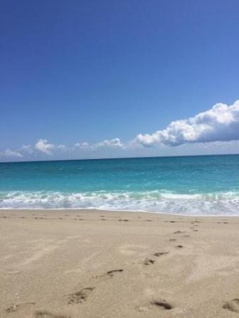 Aquarius, 5440 N Ocean Dr #903, Riviera Beach, Florida 33404, image 3