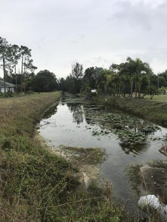 The Acreage, 7792 140th Ave N, West Palm Beach, Florida 33412, image 2