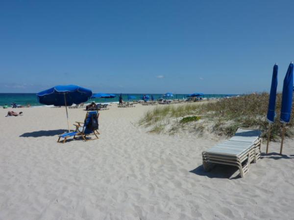 Delray Summit, 1000 Lowry St #4D, Delray Beach, Florida 33483, image 1