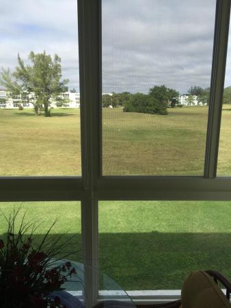 Ventnor, 3071 Ventnor P, Deerfield Beach, Florida 33442, image 3