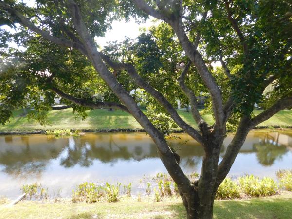 Illustre Village, 5154 Floria Dr #L, Boynton Beach, Florida 33437, image 1