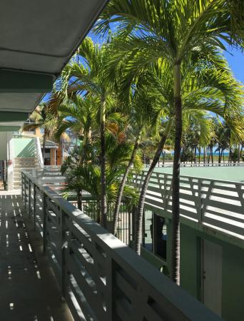 1446 Ocean, 1446 Ocean Dr #19, Miami Beach, Florida 33139, image 1