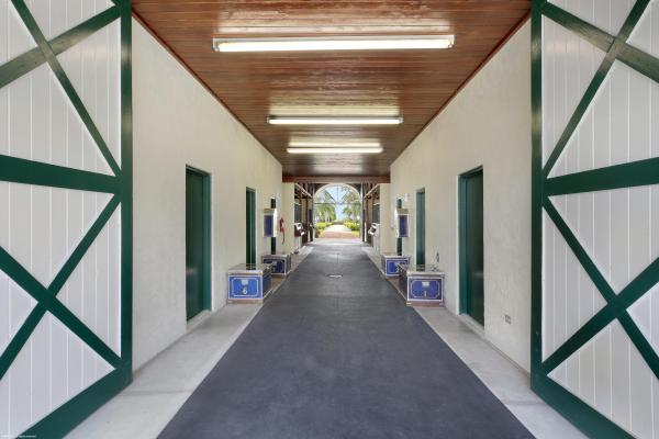 Southfields, 13245 Southfields Rd, Wellington, Florida 33414, image 2