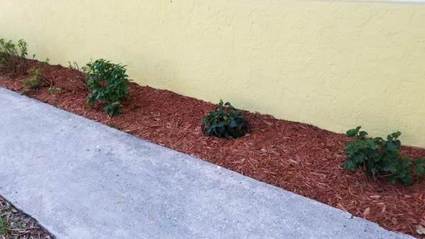 West Gate Estates, 3139 Saranac Ave, West Palm Beach, Florida 33409, image 1