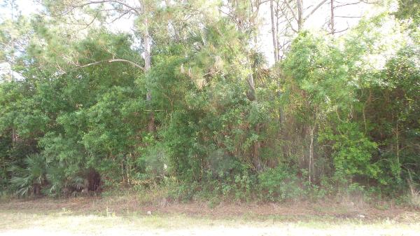 The Acreage, 17637 63rd Rd N, Loxahatchee, Florida 33470, image 2