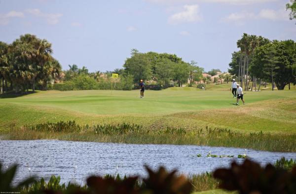 Polo Island, 2770 Polo Island Dr #B202, Wellington, Florida 33414, image 3
