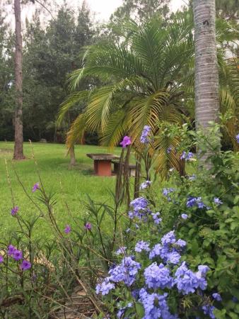 Loxahatchee Groves Residential, 13658 24th Ct, Loxahatchee Groves, Florida 33470, image 1