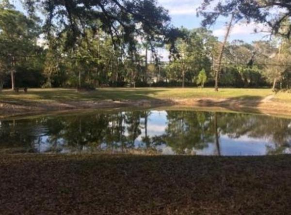 Loxahatchee Groves Residential, 13658 24th Ct, Loxahatchee Groves, Florida 33470, image 2