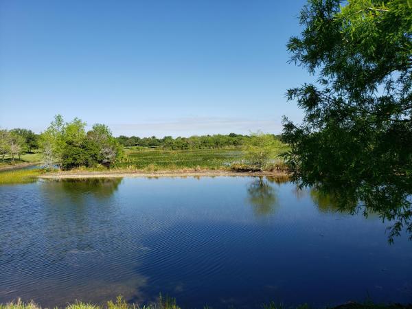 VillageWalk Of Wellington, 3227 Verdmont Ln, Wellington, Florida 33414, image 2