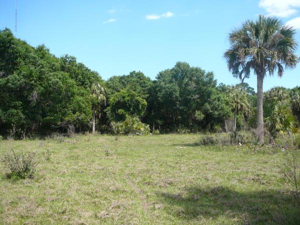 Fort Pierce Residential, 1300 Hartman Rd, Fort Pierce, Florida 34947, image 2