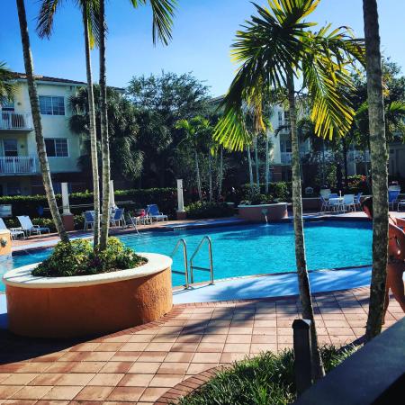 Mezzano At Baywinds, 9905 Baywinds Dr #2306, West Palm Beach, Florida 33411, image 2
