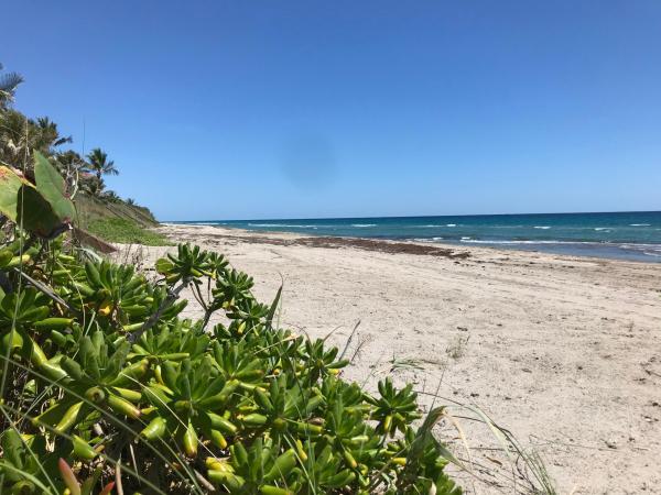 Ceaire, 4310 S Ocean Blvd #B, Highland Beach, Florida 33487, image 2