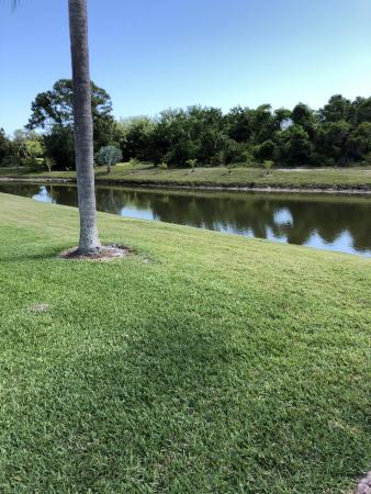 Villas Of Village Green, 1526 SE Crayrich Ct, Port St. Lucie, Florida 34952, image 1