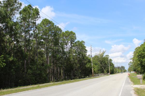 The Acreage, 12860 Orange Blvd, West Palm Beach, Florida 33412, image 1