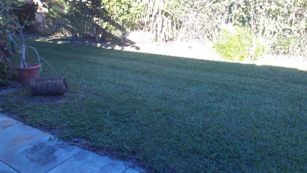 Forest Hill Villas Garden, 5933 Forest Hill Blvd #6, West Palm Beach, Florida 33415, image 2
