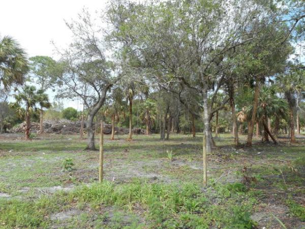 0 White Way Dairy Road, Fort Pierce, FL 34947, Fort Pierce, Florida 34947, image 1