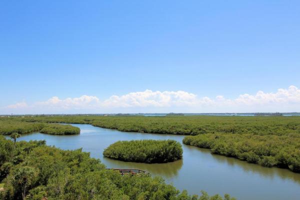 Bryn Mawr Ocean Towers, 5059 N Highway A1a #701, Fort Pierce, Florida 34949, image 3