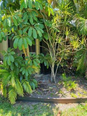 Seaway Patio Villas, 227 SE 1st Cir #9B, Boynton Beach, Florida 33435, image 1