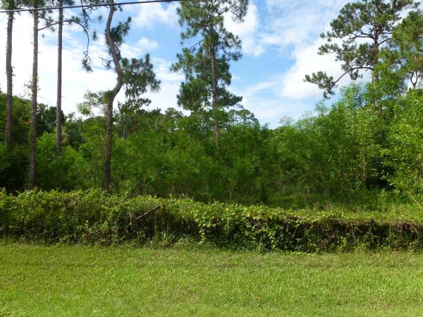 The Acreage, 12438 53rd Rd N, West Palm Beach, Florida 33411, image 1