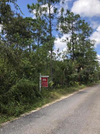 Wind In The Pines, 14115 125th Ave, West Palm Beach, Florida 33418, image 1
