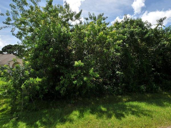 Woodland Trails, 1050 SW Calmar Ave, Port St. Lucie, Florida 34953, image 2