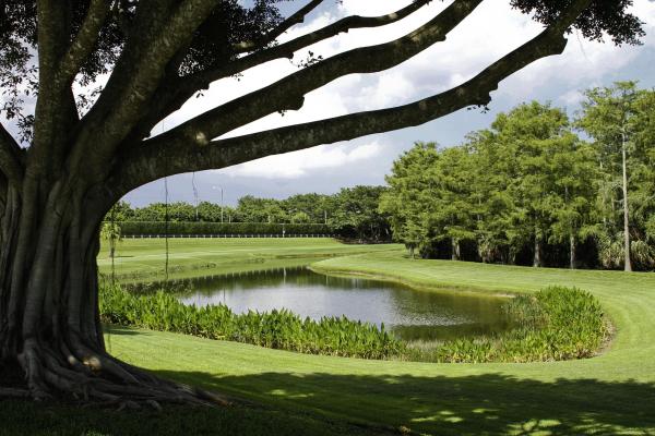 Manchester Lakes At Wycliffe, 3885 Netherlee Way, Lake Worth, Florida 33449, image 1