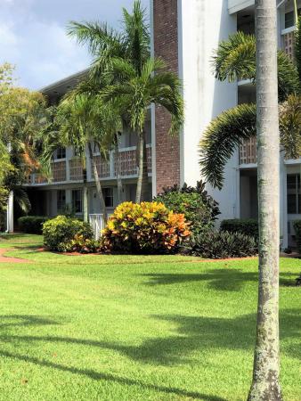 Palm Royal, 25 SE 13th St #A1, Boca Raton, Florida 33432, image 1